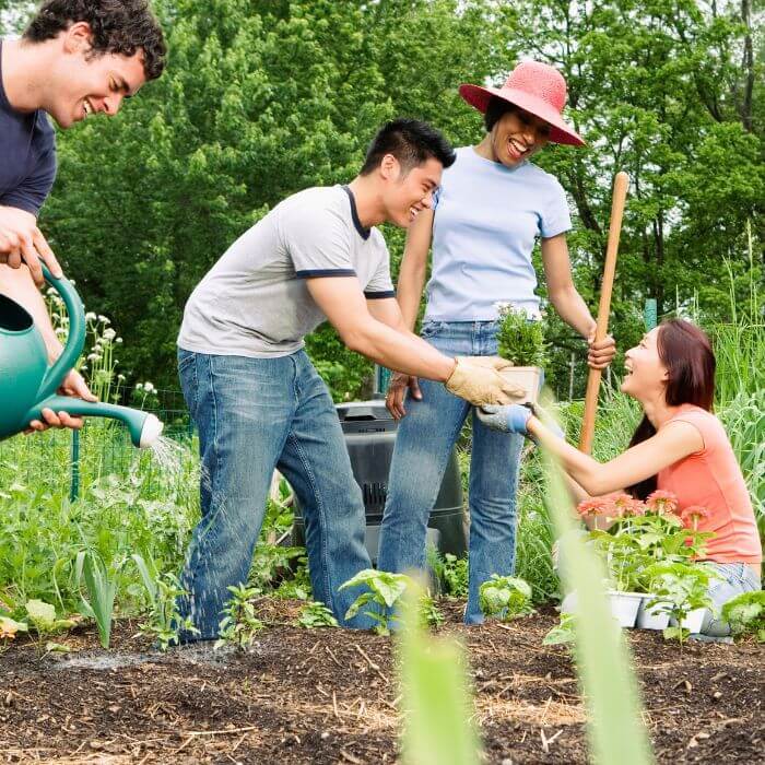 Residents working together on the farm, illustrating the sense of community and teamwork fostered through the work therapy program at Rose Hill Center