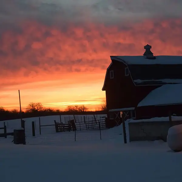 An image of the iconic red barn at Rose Hill Center, standing proudly against the backdrop of a serene landscape, symbolizing the center's commitment to mental health treatment