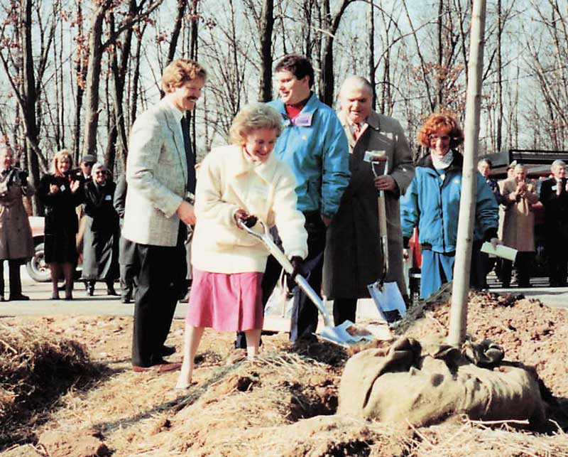tree planting photo